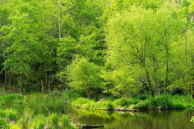 Environmental Conservation